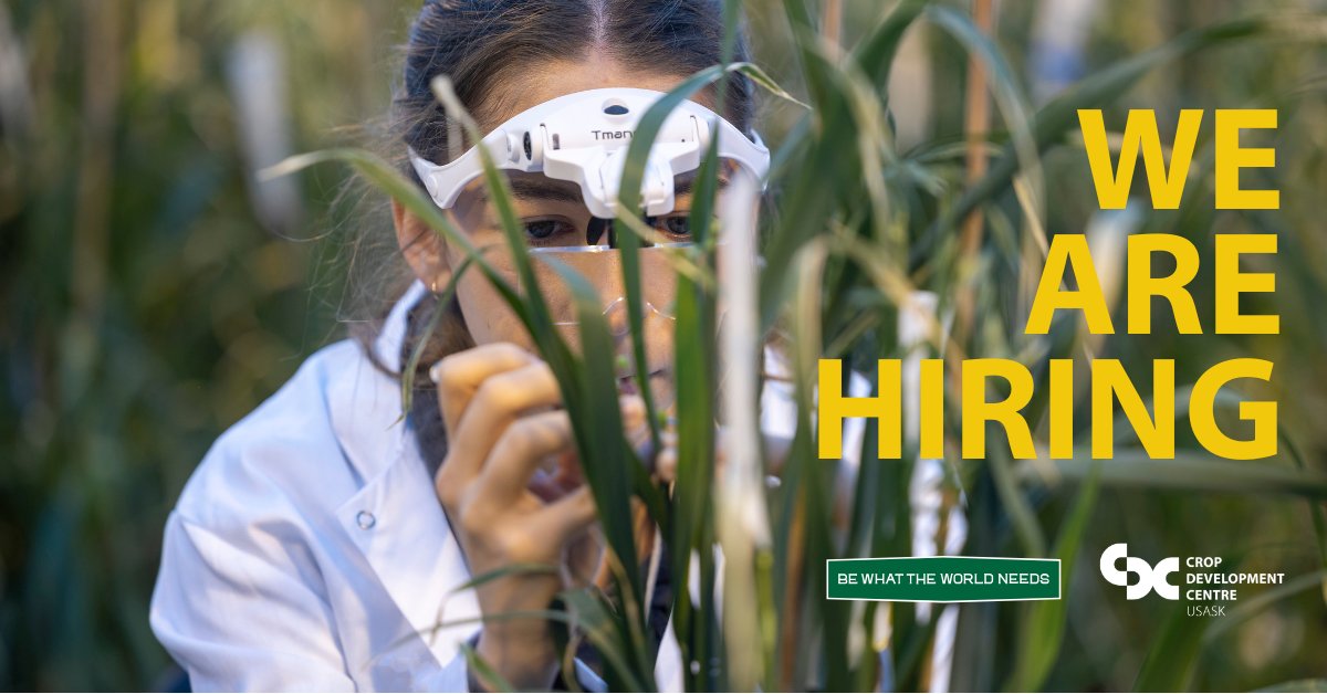 Crop Development Centre - USask tweet media