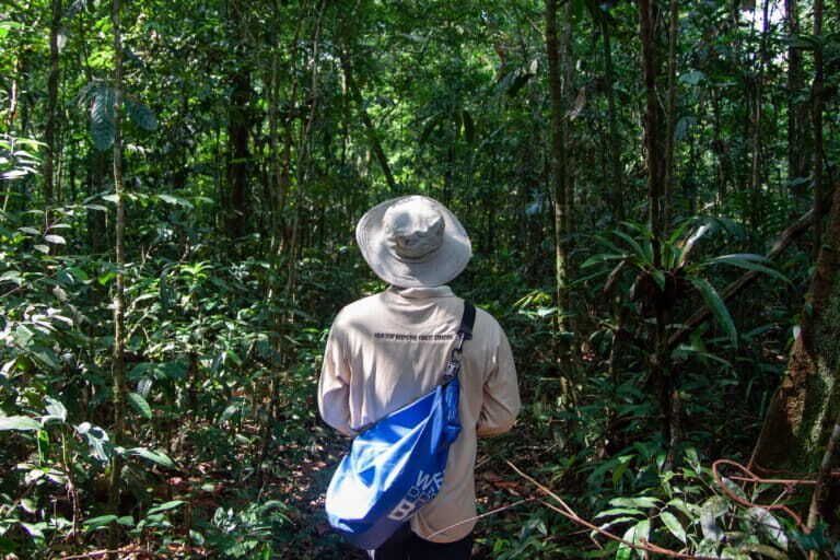 🌿😢 Devastating news! The Cardamom Mountains are being carved up for development, endangering precious wildlife habitats and pristine rainforests. We must fight to protect our planet's treasures! #SaveTheCardamoms #Deforestation #EnvironmentalConservation 🌳🦜🌎