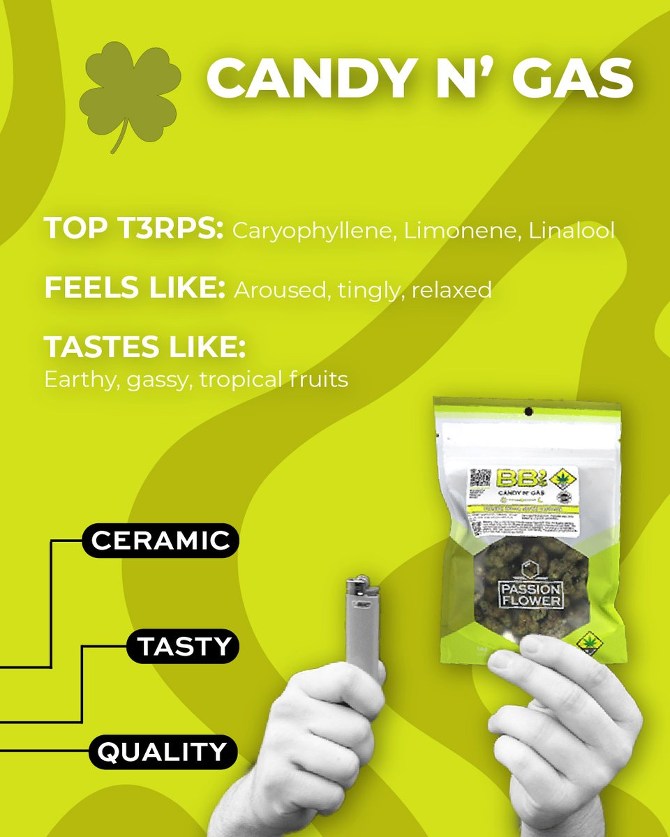 PassionflowerCC's tweet photo. Are you drinking on St Paddy's Day? Y or N? We decided we're going with cannabis instead! https://t.co/8EKxIr7UY2