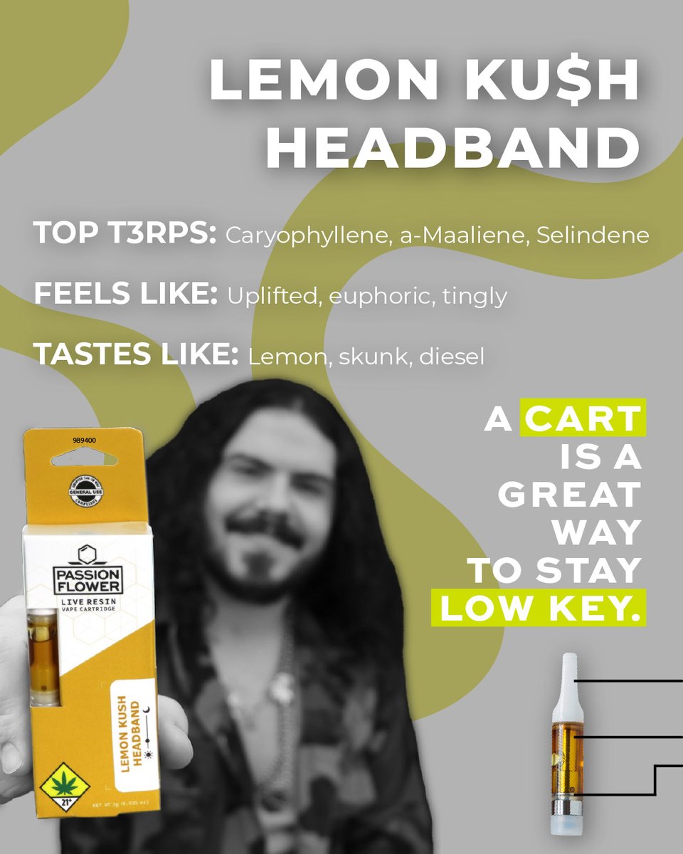 PassionflowerCC's tweet photo. Are you drinking on St Paddy's Day? Y or N? We decided we're going with cannabis instead! https://t.co/8EKxIr7UY2