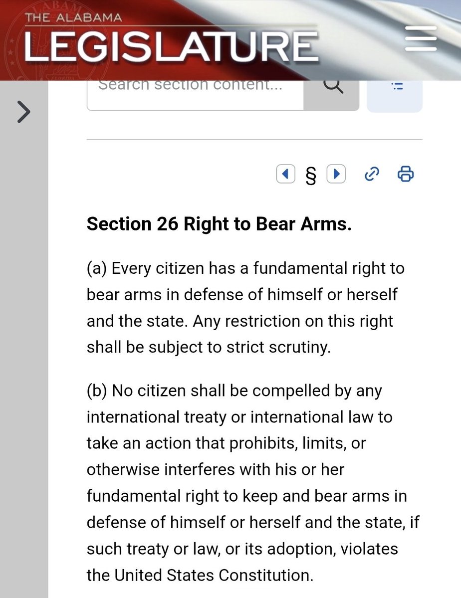 The Second Amendment tweet media