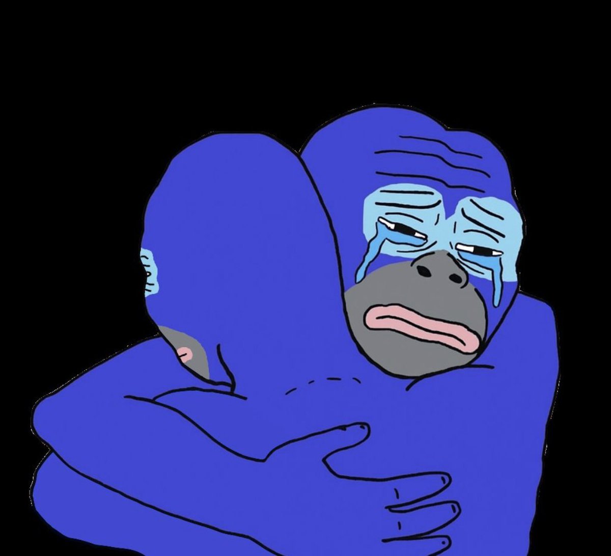 Tute 🦍 tweet media