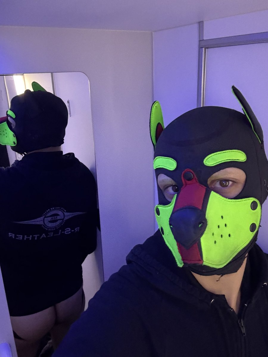 Pup Turbo🐶✈️ tweet media