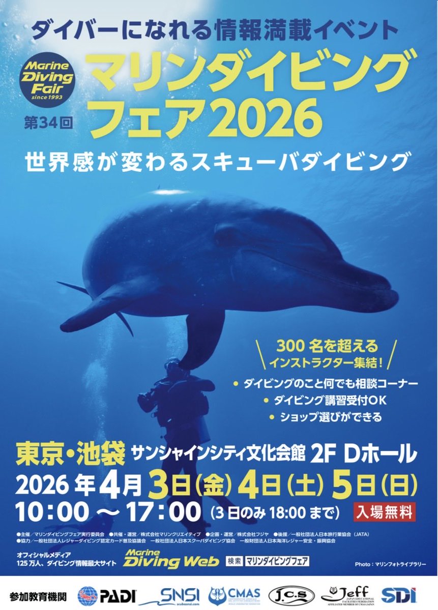 マリンダイビングWeb tweet media
