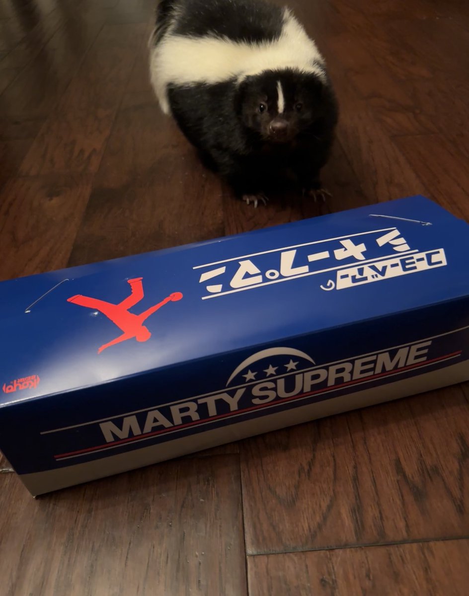 reallybigdoggy 🛸🦨💨 tweet media