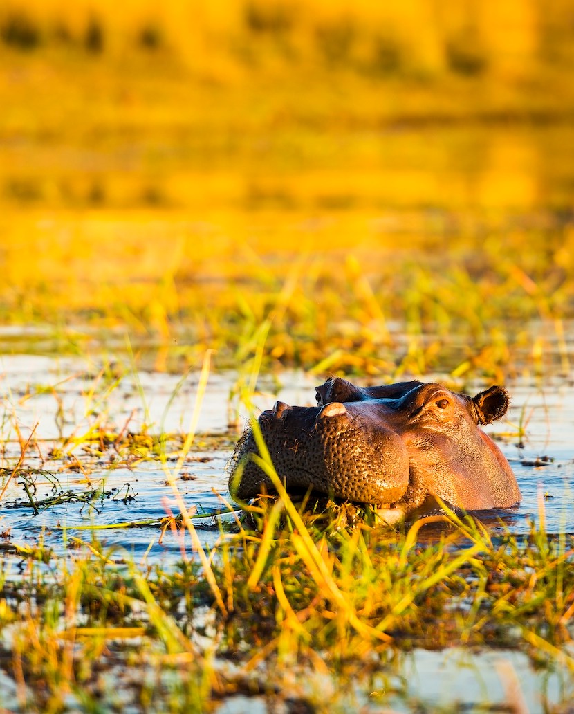 fly_namibia tweet media