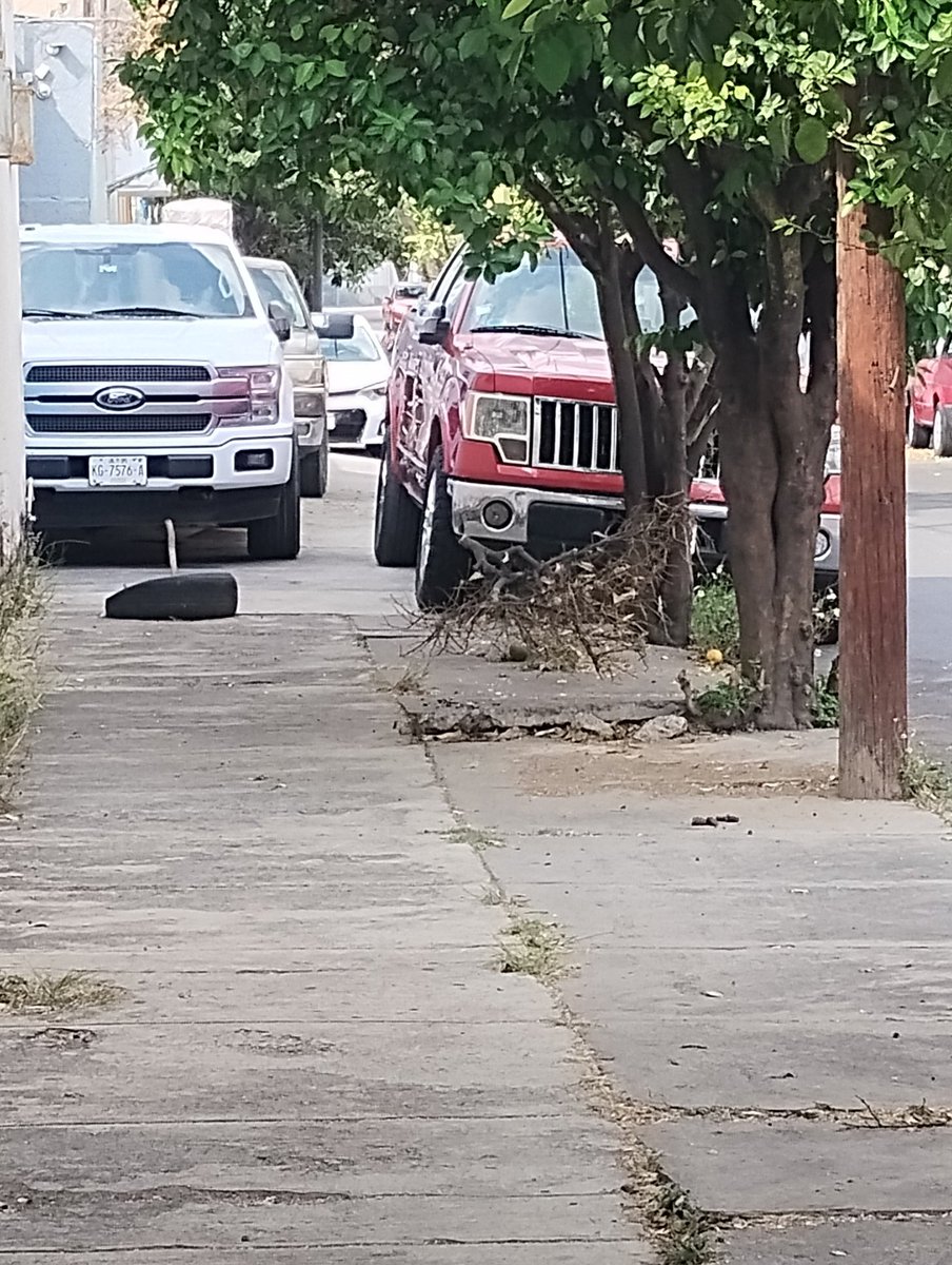 Alypuc's tweet photo. @policiavial @Trafico_ZMG @TVAztecaJalisco . Siempre están arriba de la banqueta obstruyendo el paso a los peatones. calle Usumacinta esq. 5 de febrero. https://t.co/D830rtCyaQ