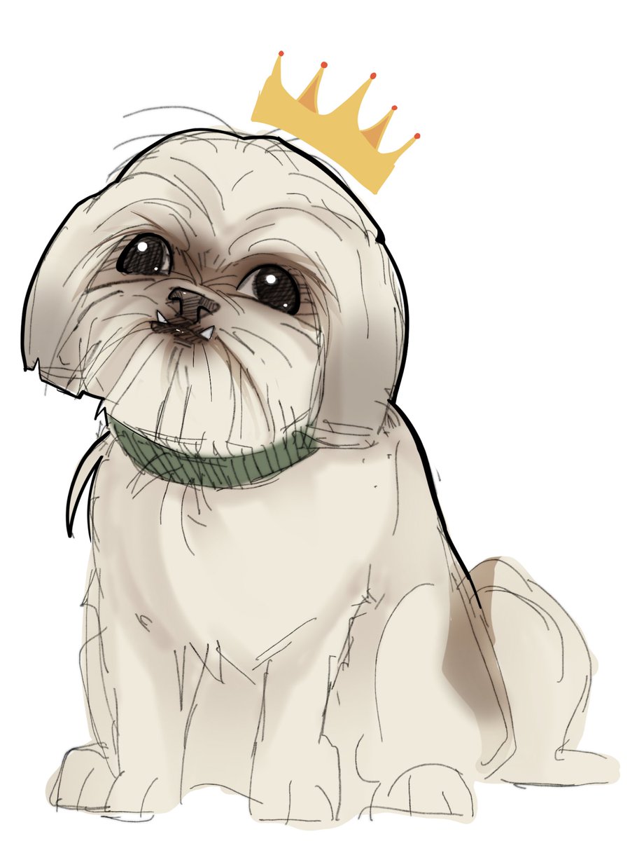 Tobuscus tweet media