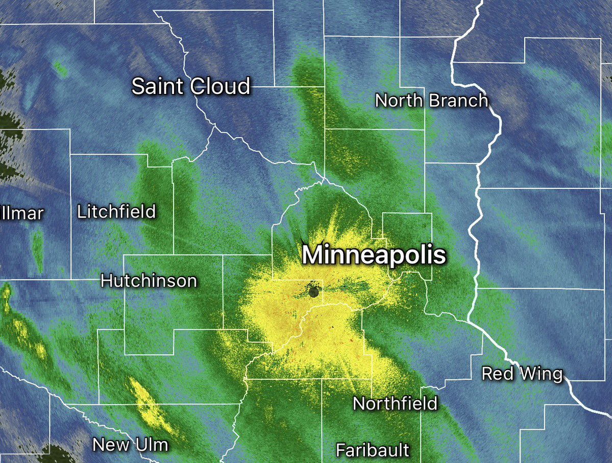 Markie Kelly tweet media