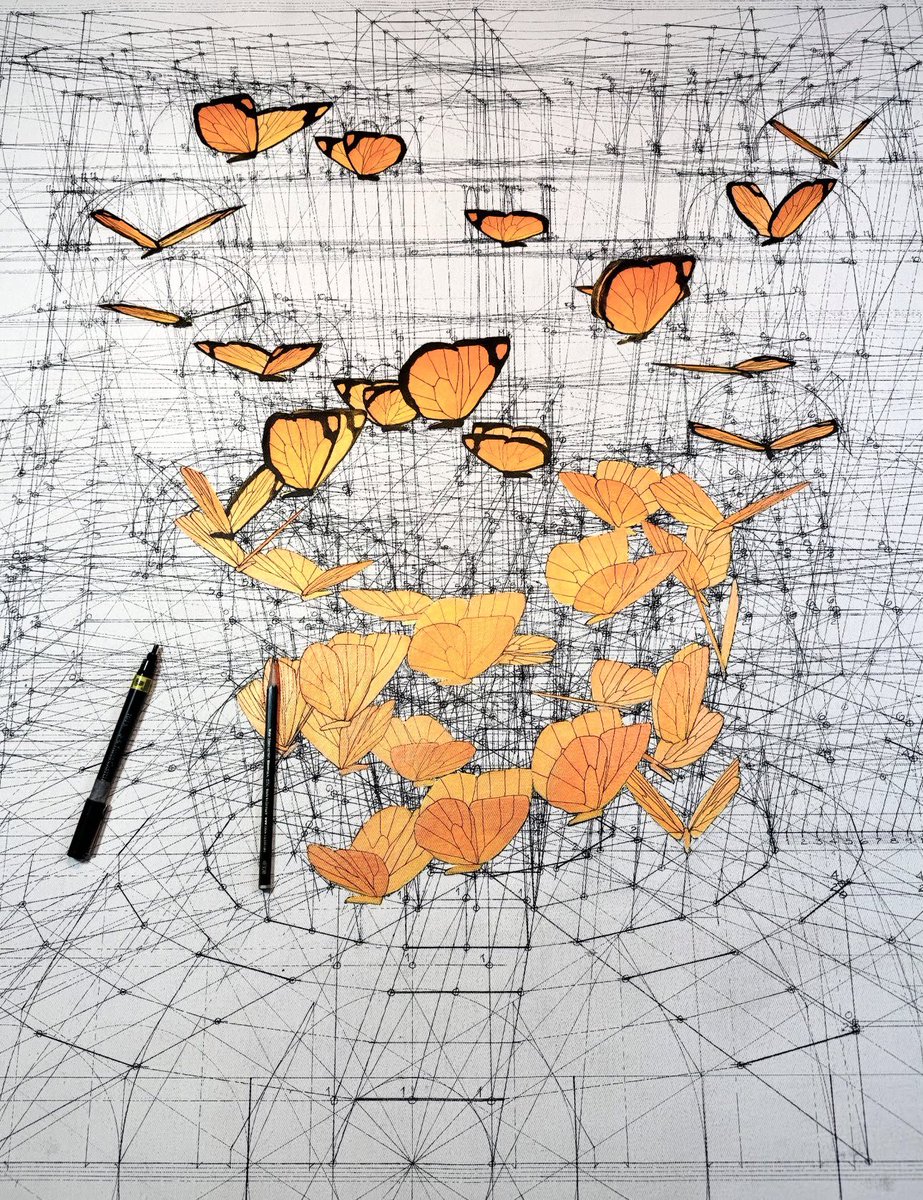 Rafael Araujo tweet media