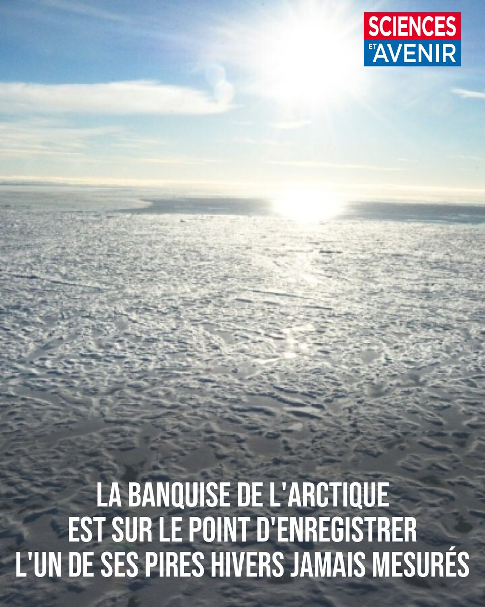 Sciences et Avenir tweet media