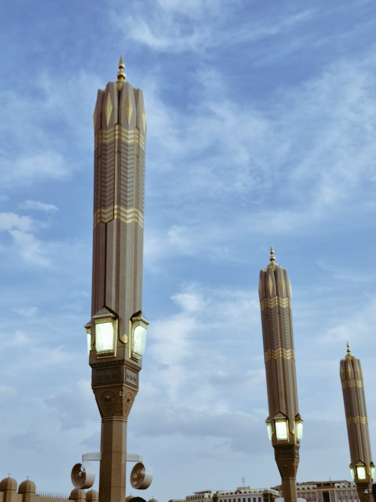 ✨️🍊. tweet media