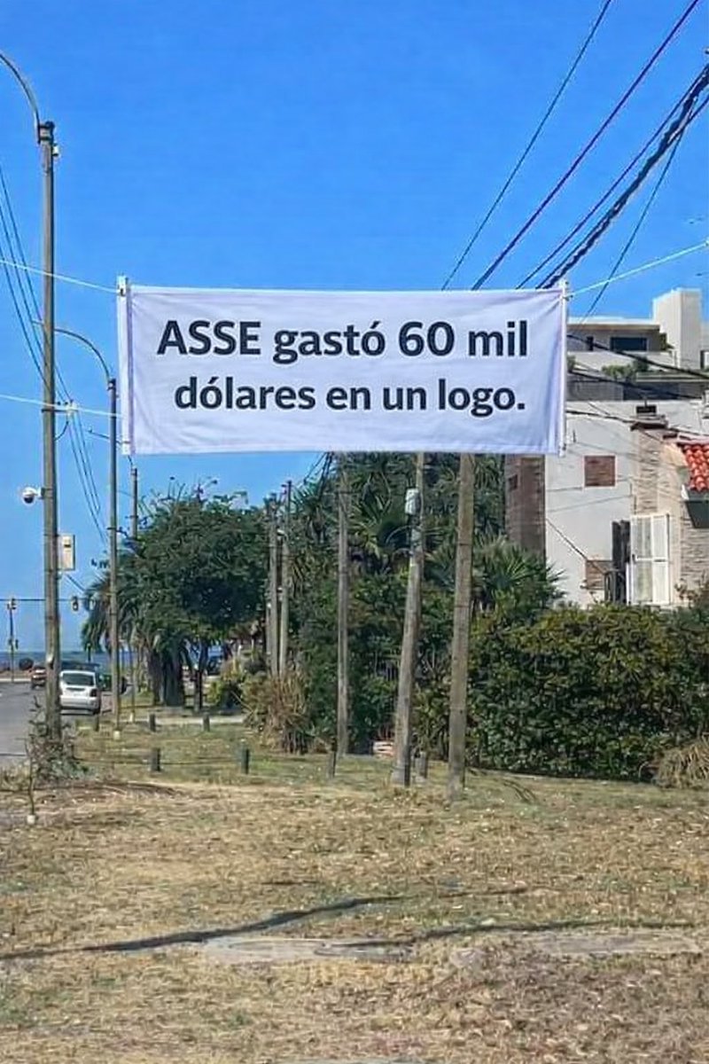 El Bagual bolso tweet media