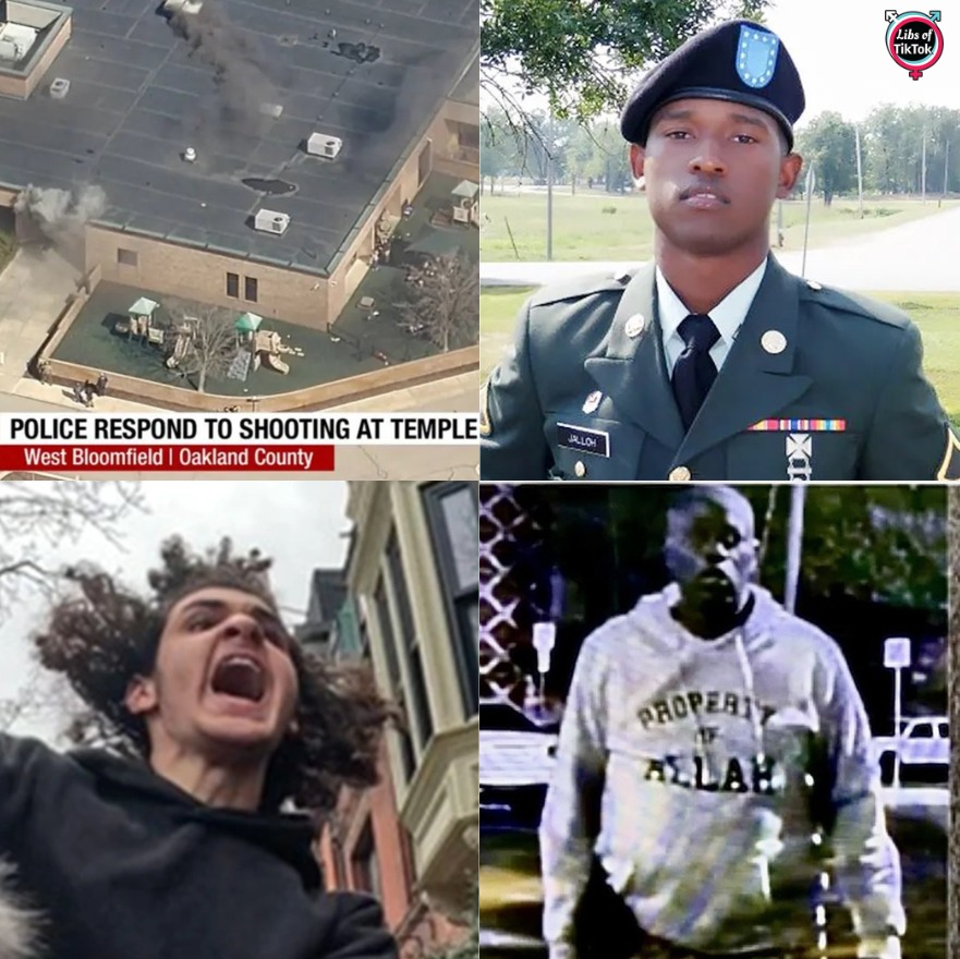 Libs of TikTok tweet media