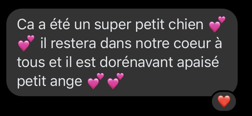 paulinezcs's tweet photo. Je ne t’oublierai jamais mon Loulou 💔🕊️ https://t.co/bEHUK7AHBS