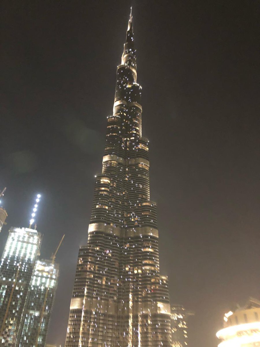 Adam Gamal tweet media