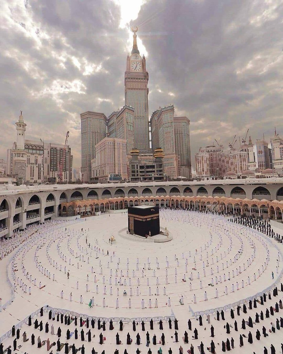 Adam Gamal tweet media