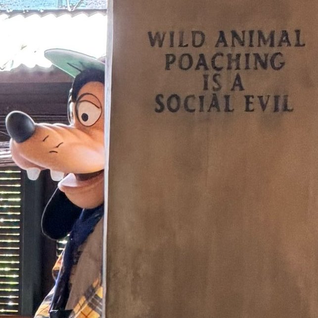 Mattlegostar tweet media