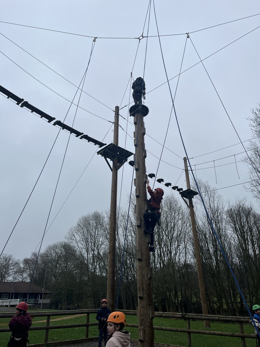 Class 5NP tweet media