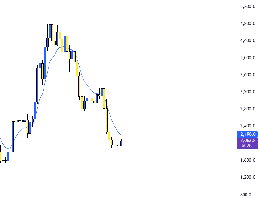 Dex 🕸️ tweet media