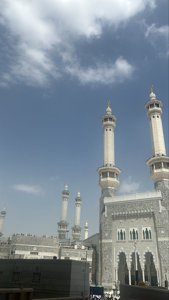 The evolver tweet media