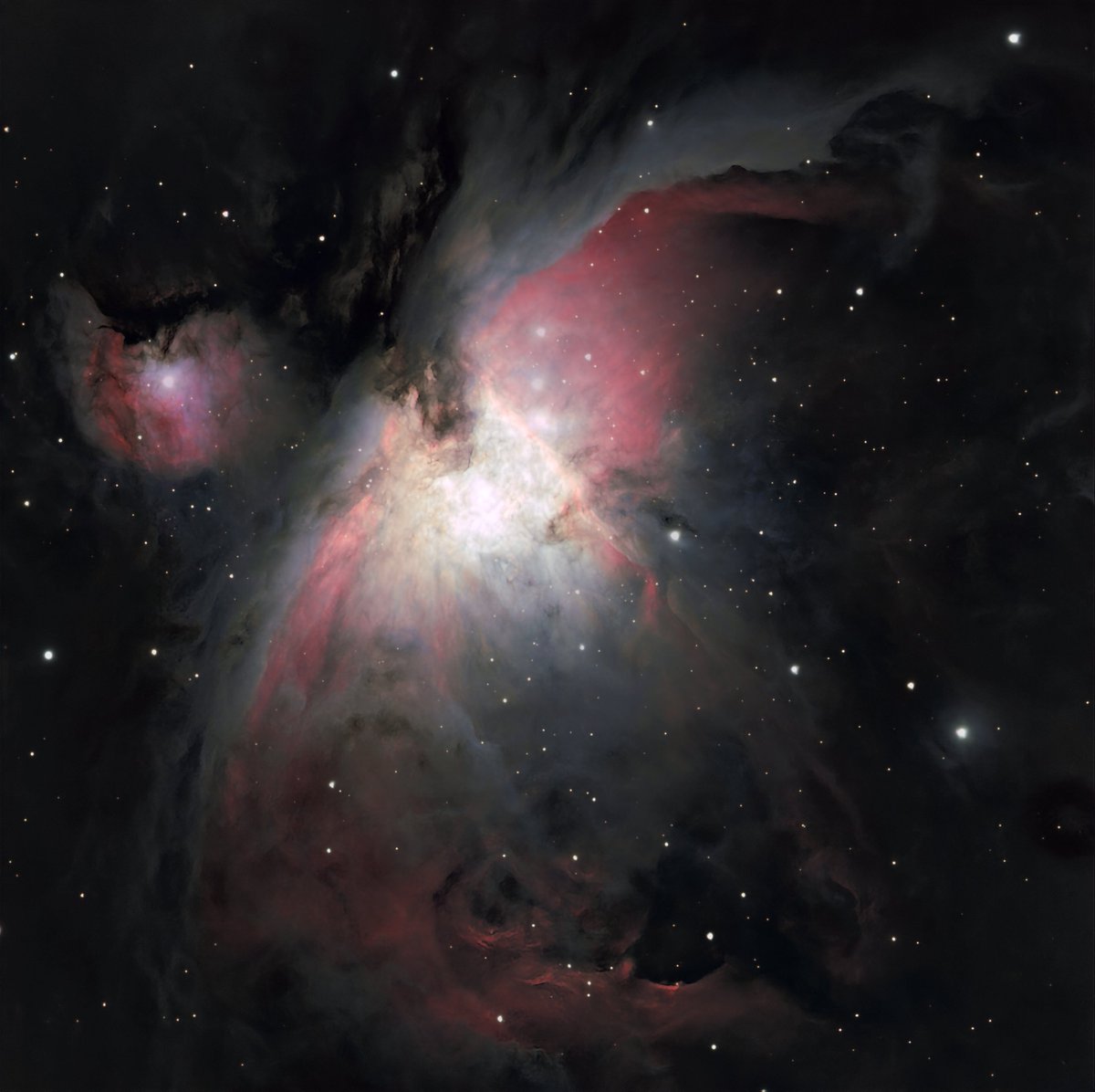 BluePixelAnimations tweet media