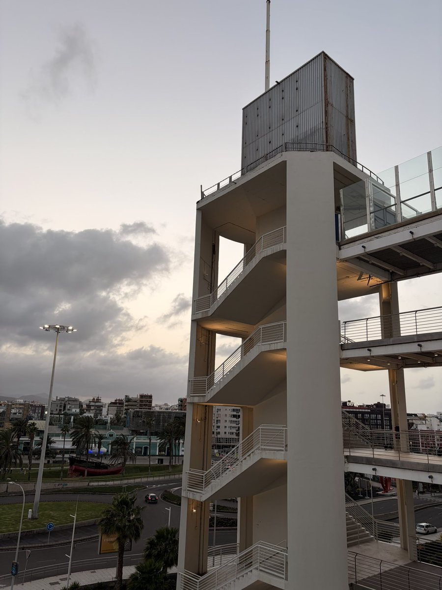 (Toni’s Version) tweet media