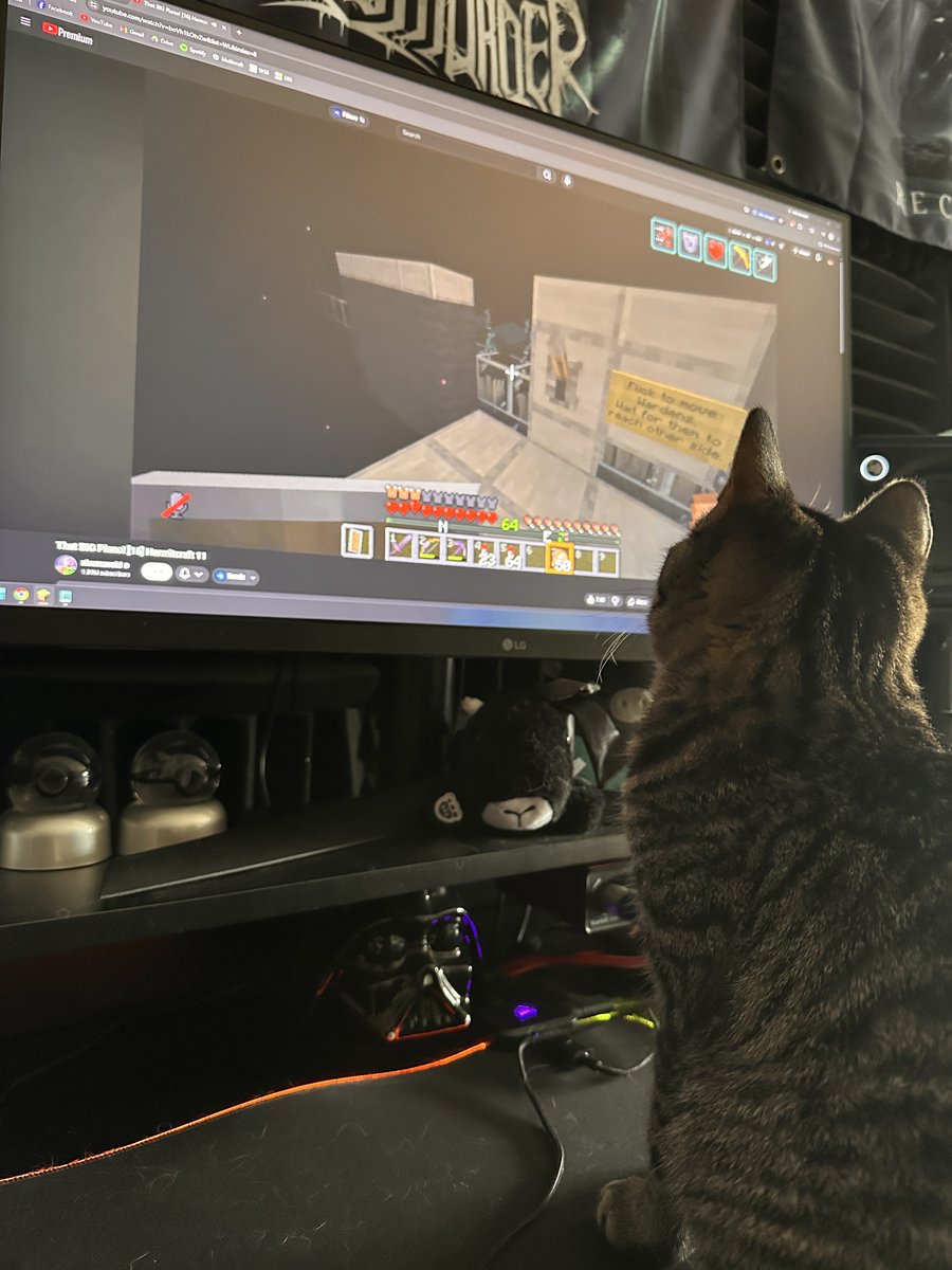 MottBotYT's tweet photo. She loves to watch ⁦@xisumavoid⁩ #hermitcraft https://t.co/z6hs1N6QG0