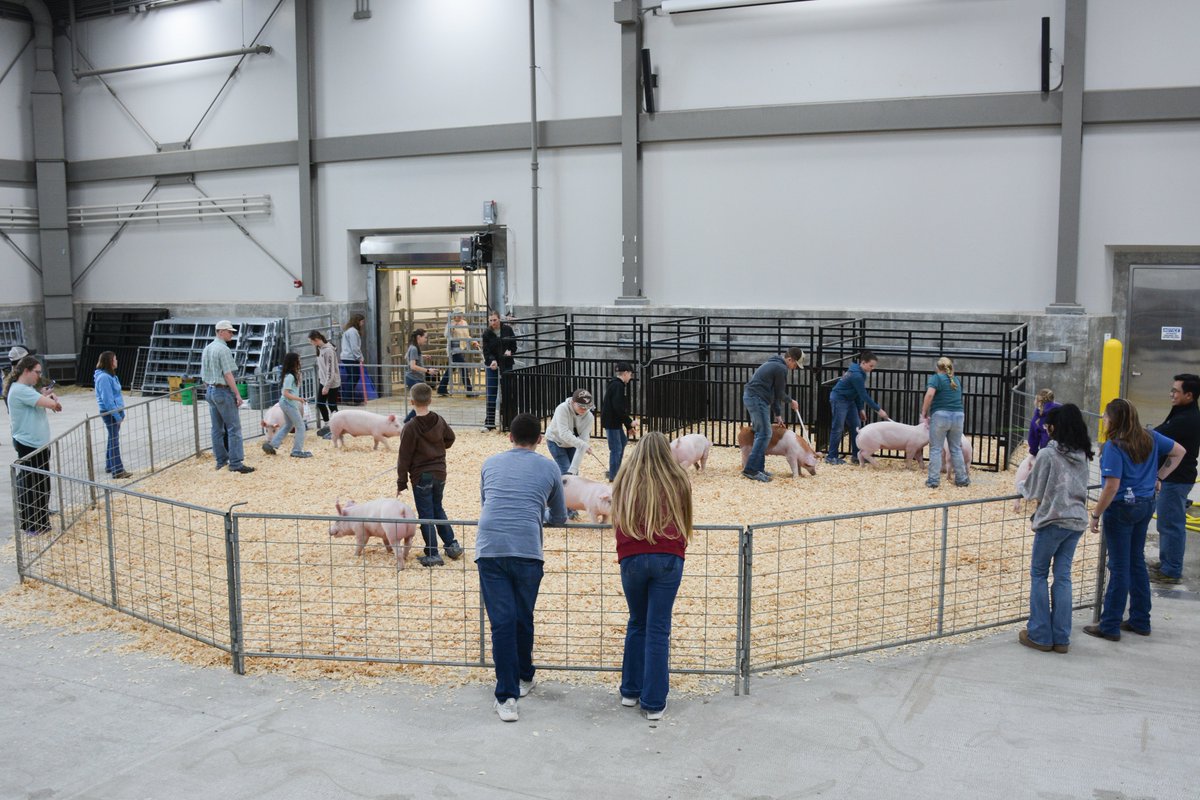 Purdue Animal Sciences tweet media