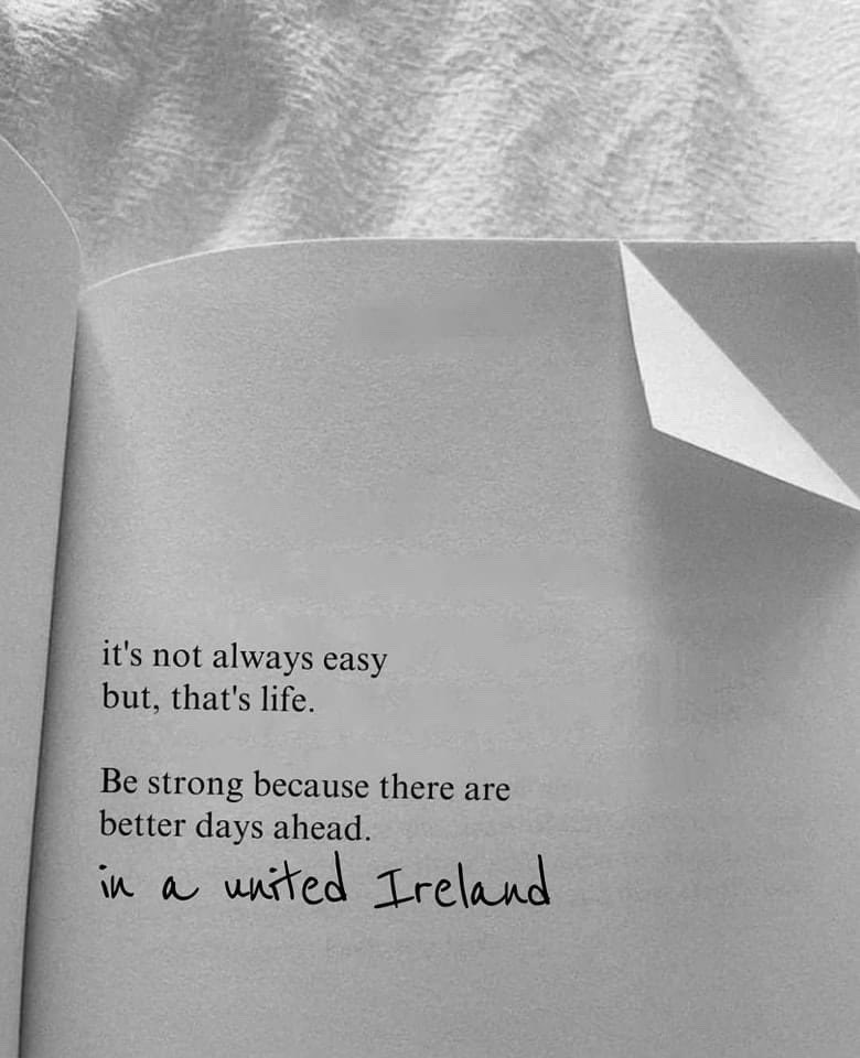 Irish Unity 🇮🇪🇵🇸 tweet media