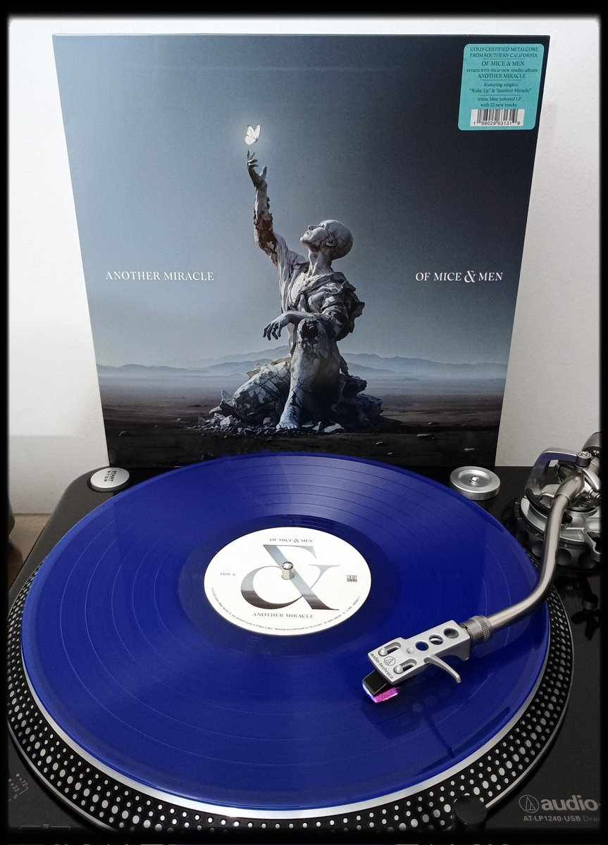 Alexis W. tweet media