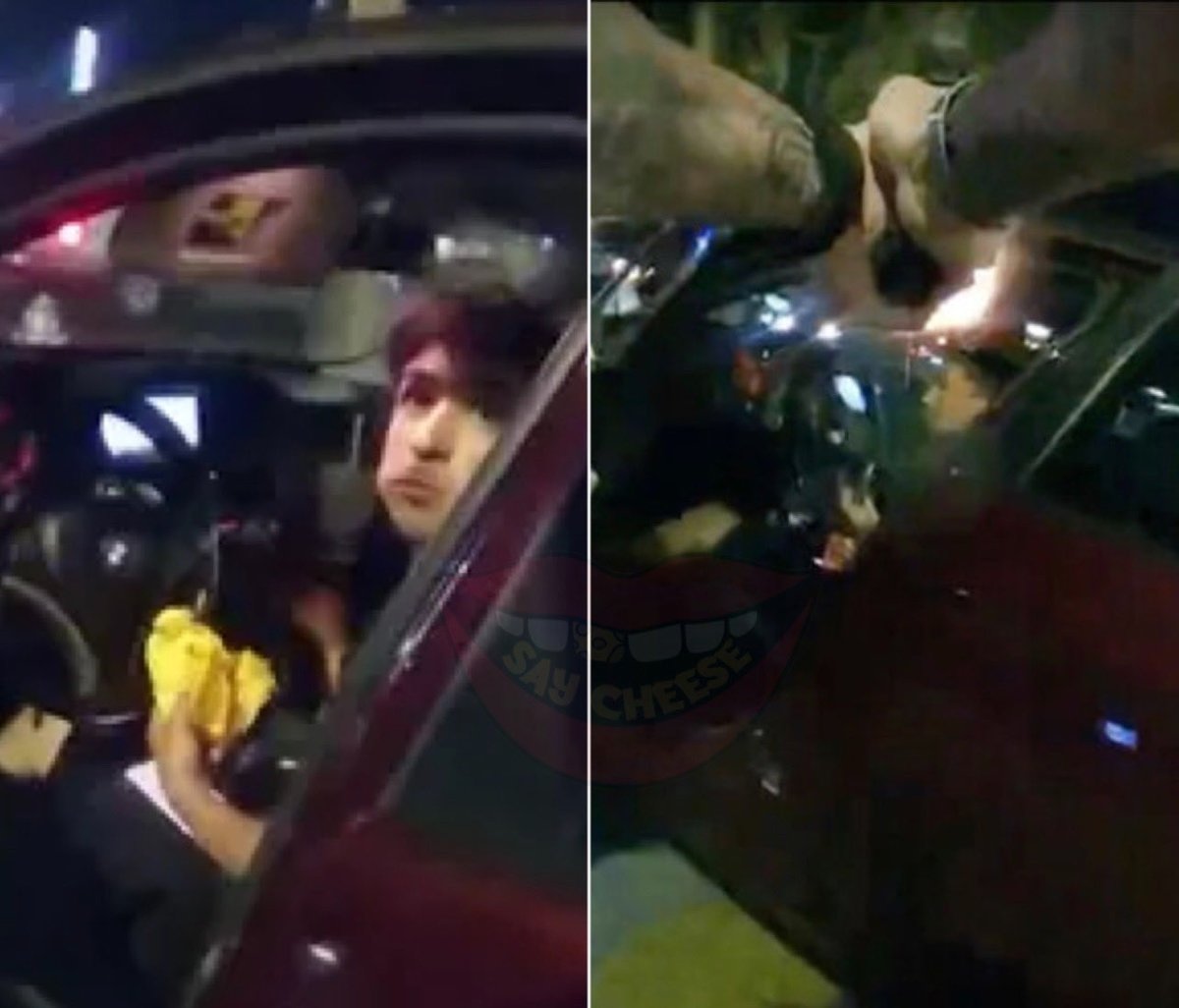 Wild Videos tweet media