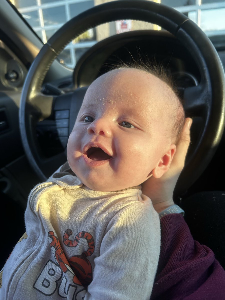 The Bee Hive 🐝 tweet media