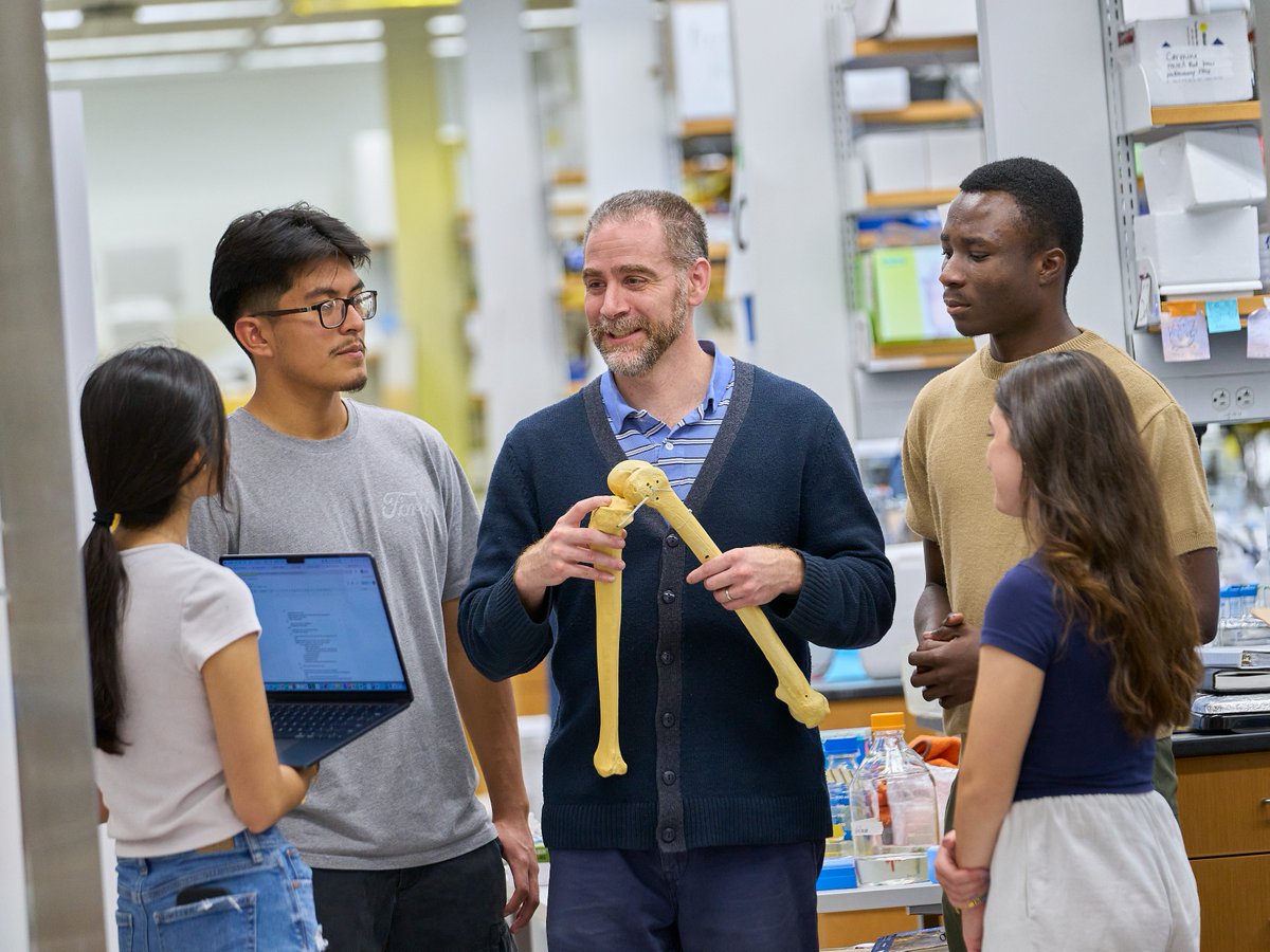 SBU College of Engineering & Applied Sciences tweet media