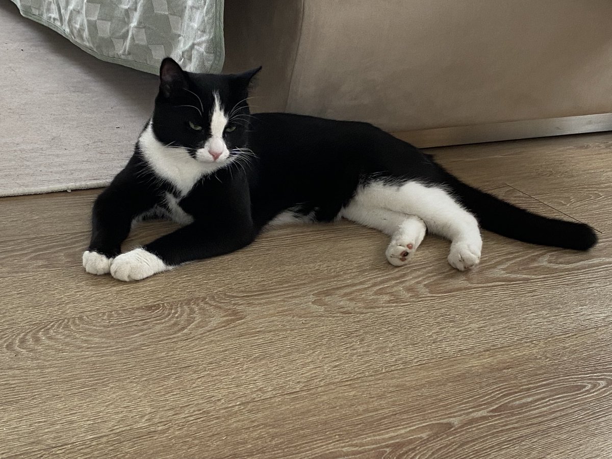 万世之王啊，你的道途义哉！诚哉！（启15:3）