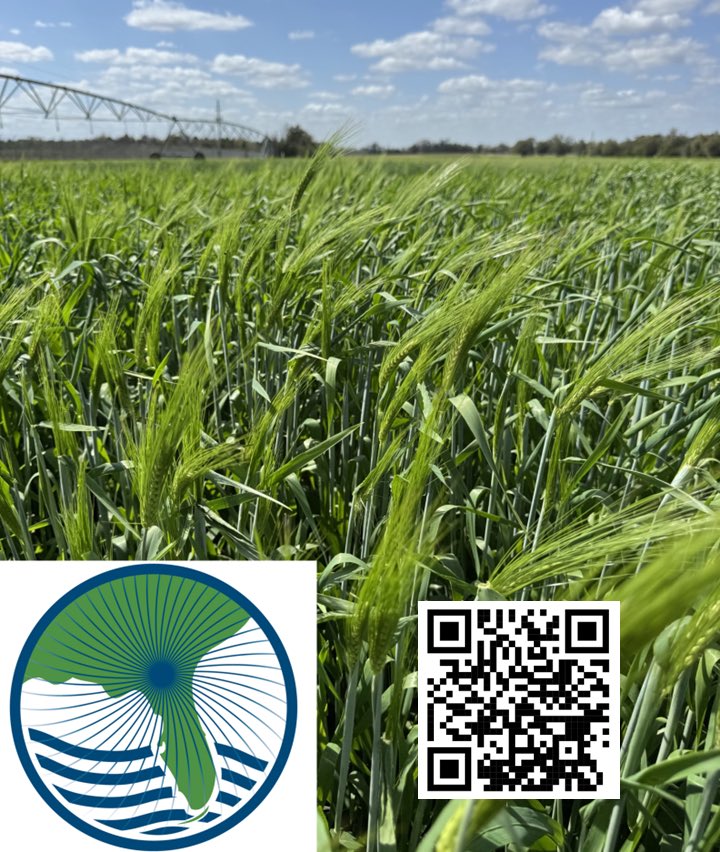 José Dubeux tweet media