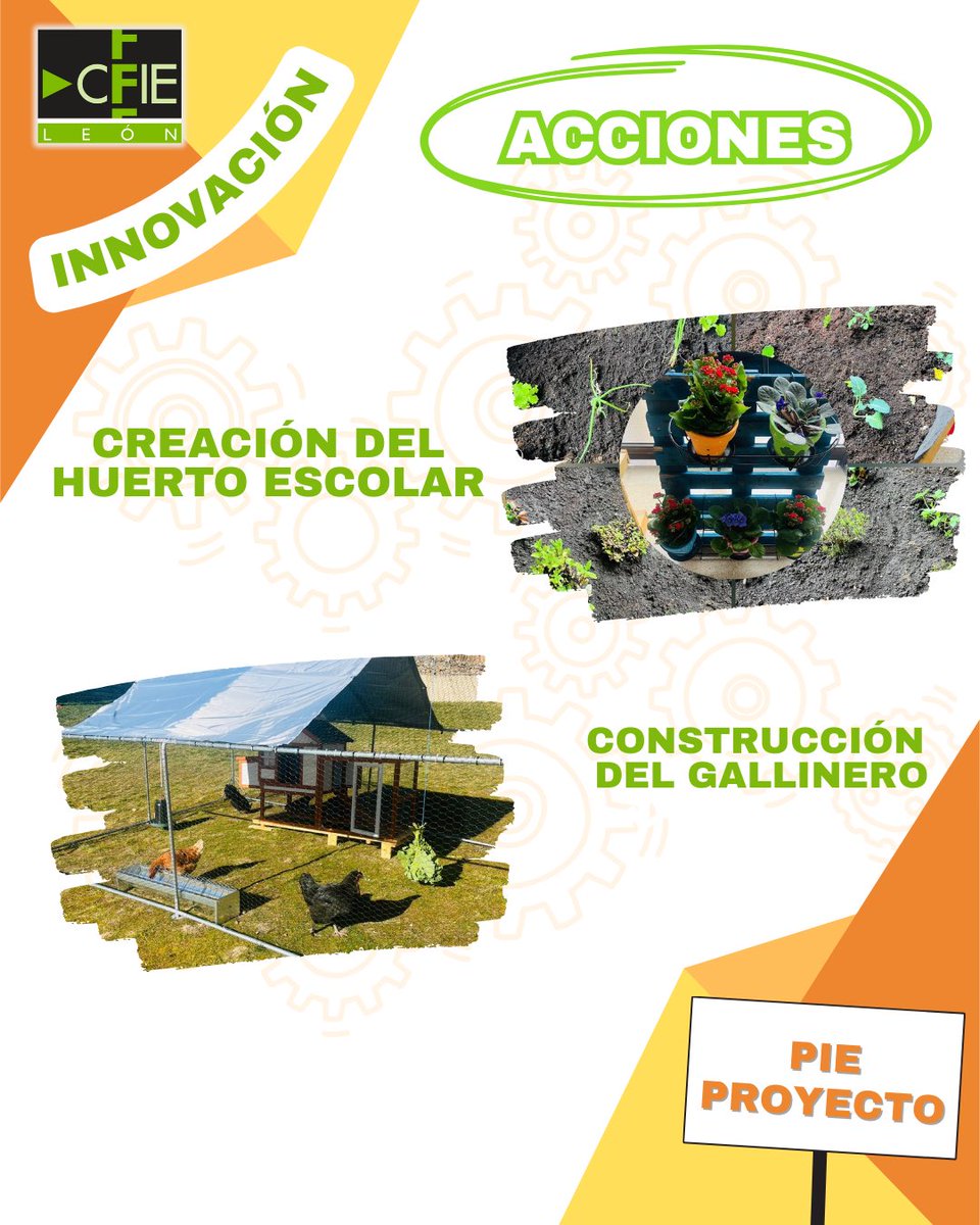 CFIELeón tweet media