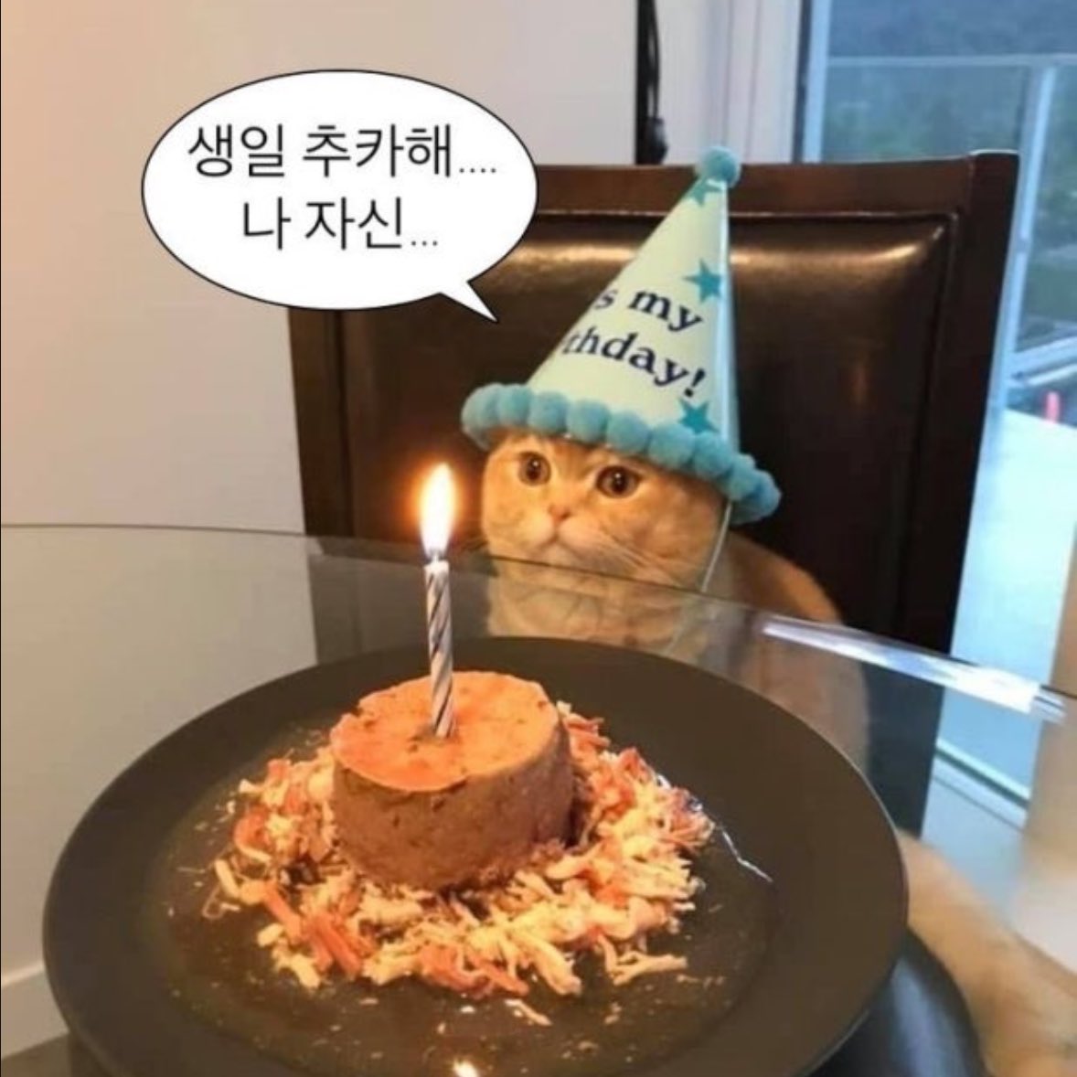 차분 tweet media
