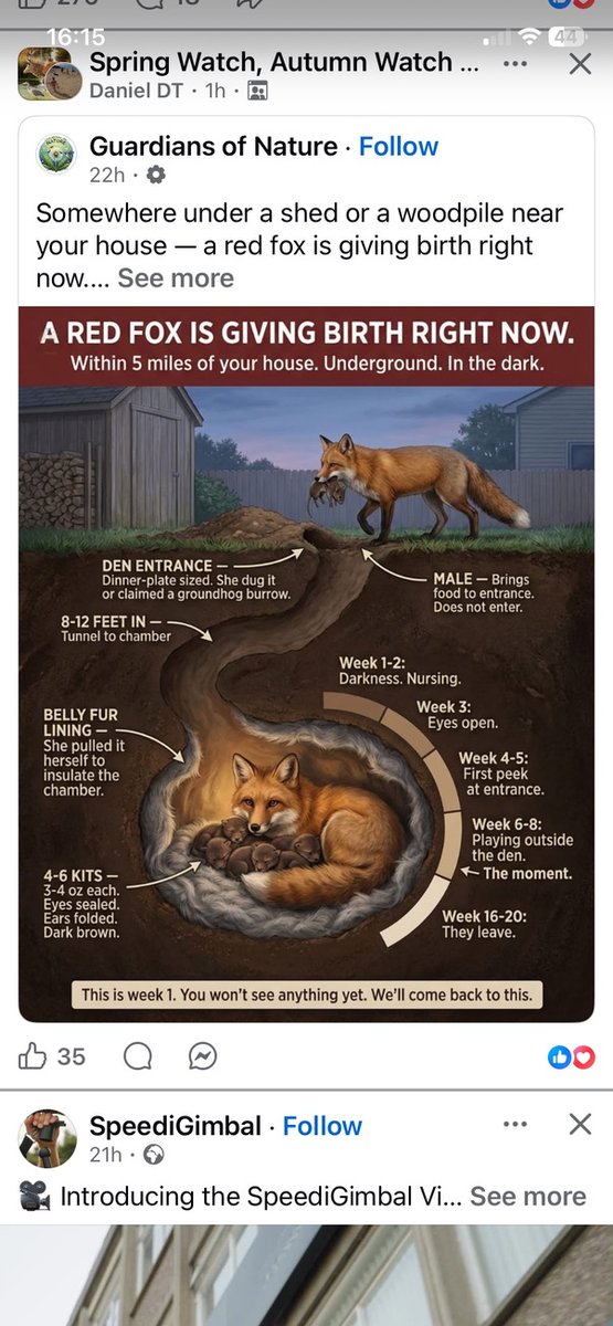 David Hateley tweet media