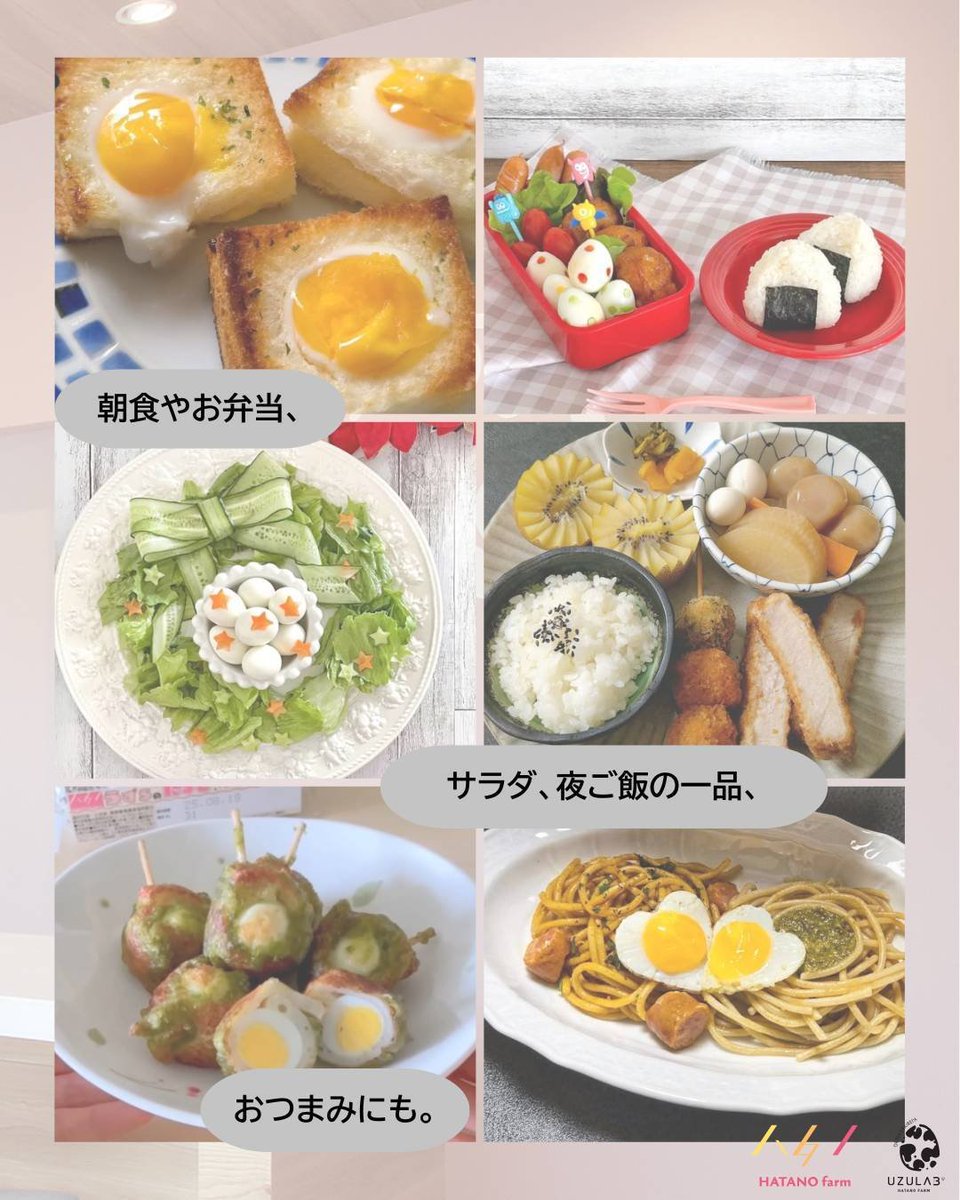 豊橋養鶉農業協同組合 tweet media