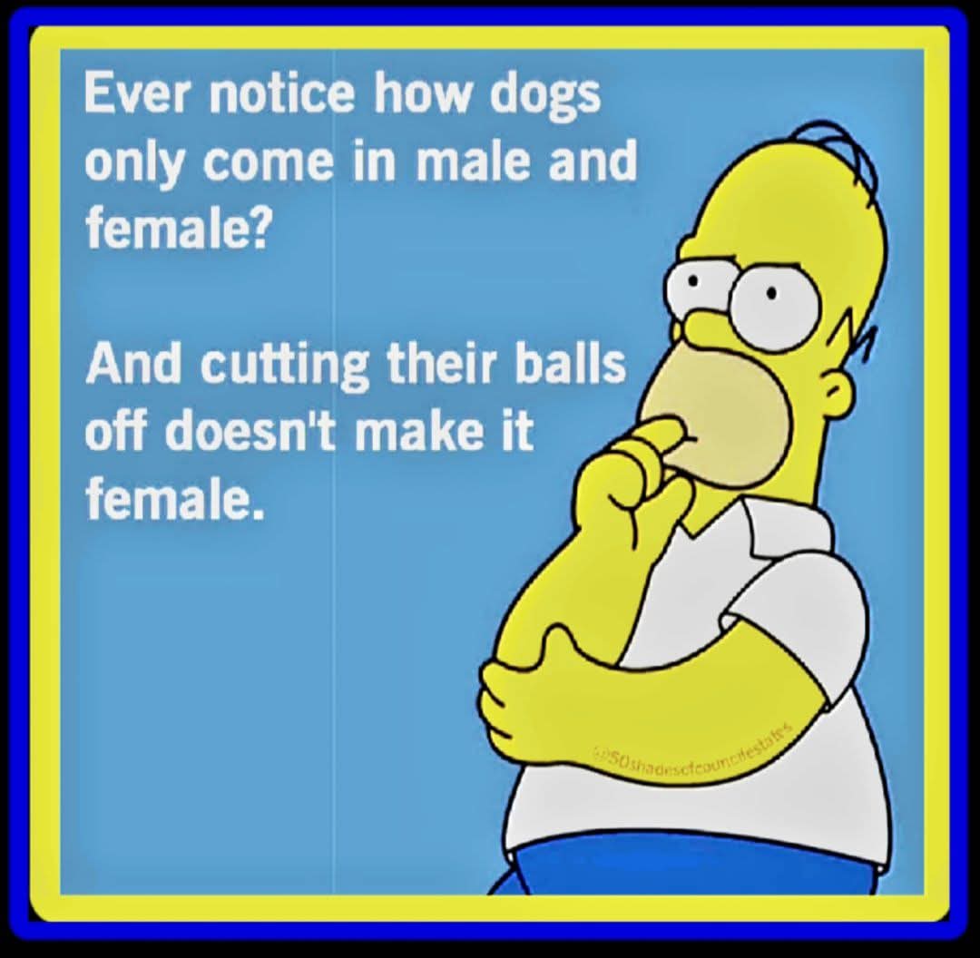 MericA_FkYh's tweet photo. @starsolsun @Klokworkk @nyaraVT The only people whonare mentally ill are thise who think theybhmcan change their gender https://t.co/qu1X0uudGw