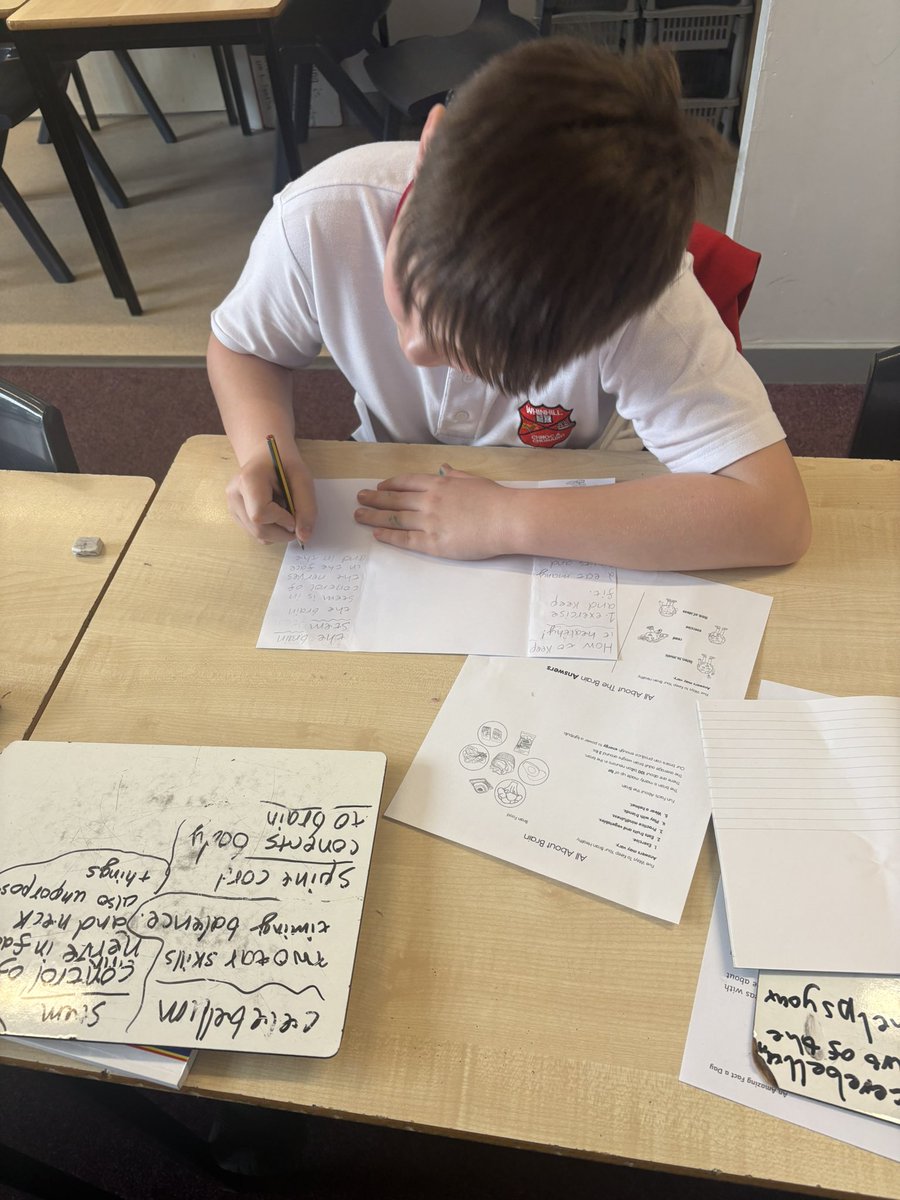 Mrs Valerio P7/6 WPS tweet media