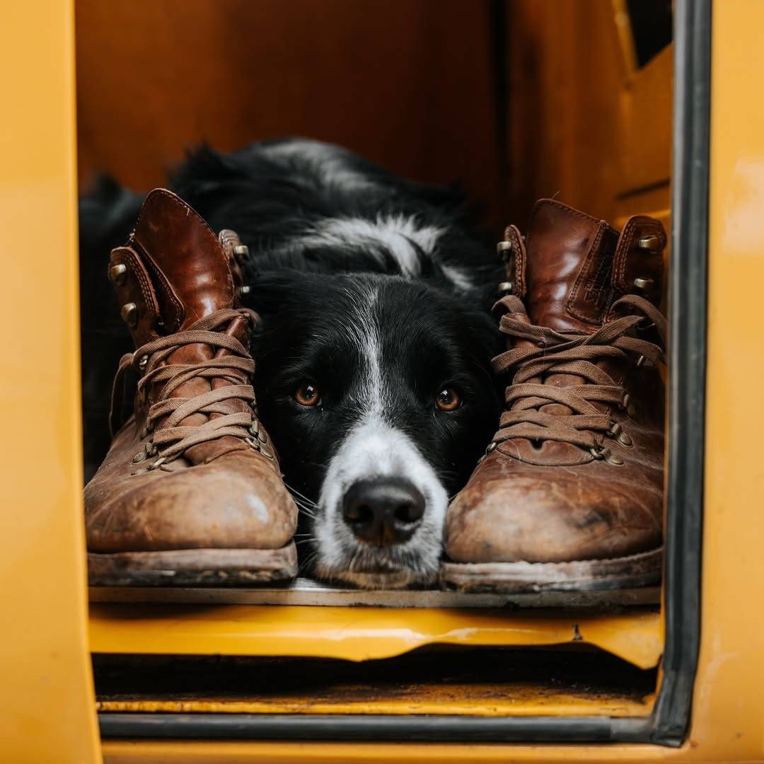 Danny Dravot tweet media