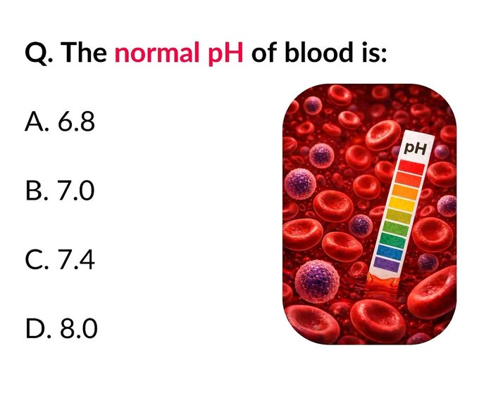 AliAl_khalifah's tweet image. سؤال مرضي ⁉️
#hematology 
#Cbc
#laboratory 
#مختبرات_طبية