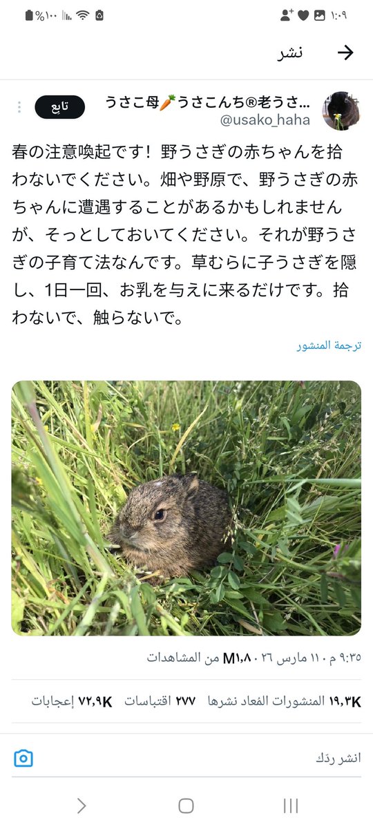 ما هو السر ؟
حساب ياباني غير موثق  ومتابعينه لا يتجاوز  ٣٠٠٠ يكتب تغريدة عن صغار الأرانب فيصل على أكثر من مليون مشاهدة في يوم .
ونحن تجد مشاهير ما يلاقوا نفس هذه المشاهدات.
ايش السر في اليابان. 
#Japan