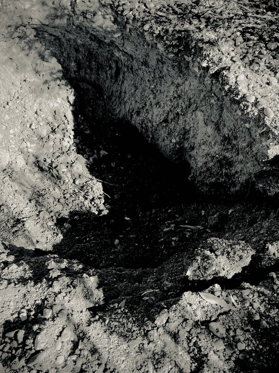 jimmy peggie tweet media