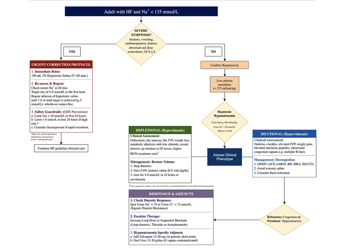 Marcos Gamboa tweet media
