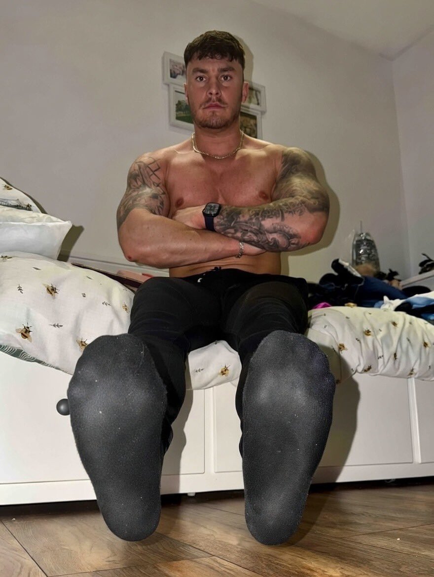 The Best Masters tweet media