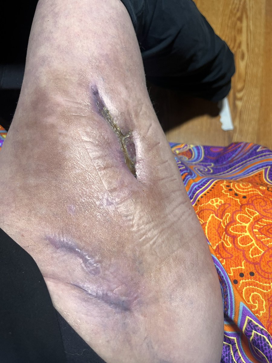 Colleen aka Paintitbright tweet media