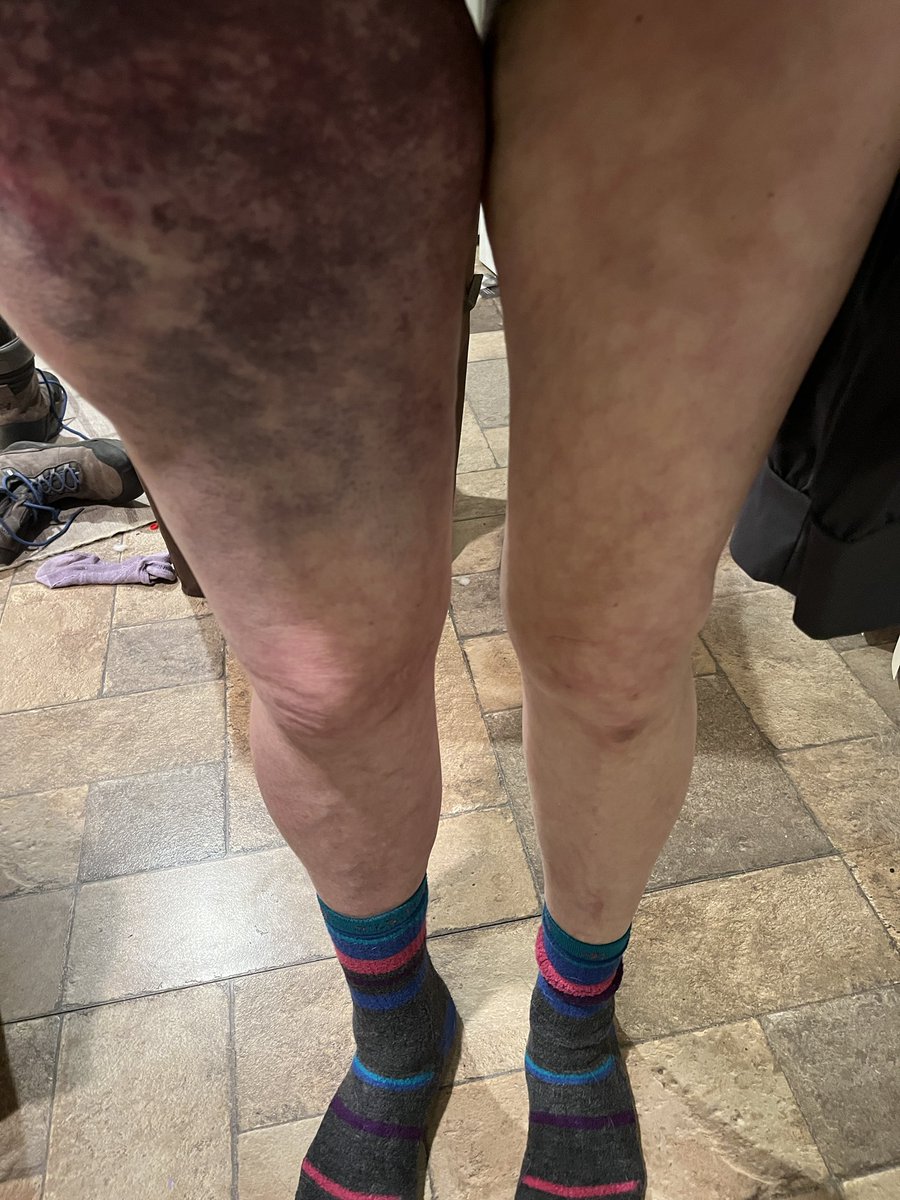 Colleen aka Paintitbright tweet media